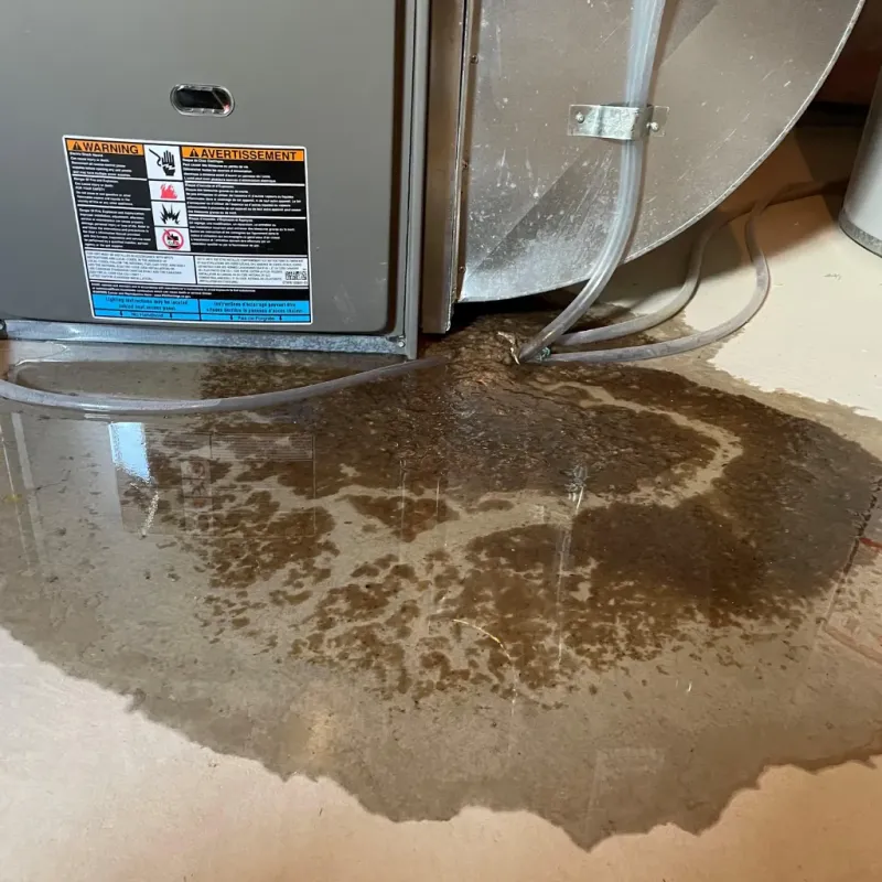 Appliance Leak Cleanup in Fox Farm-College, WY